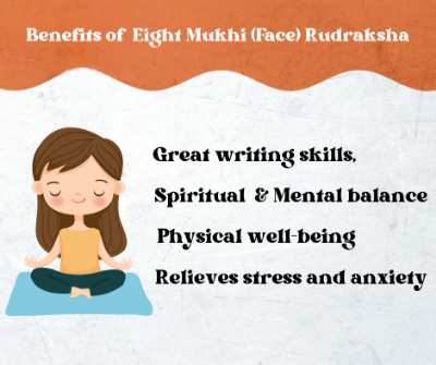 Benefits of Rudraksha :  Eight Mukhi (Face) Rudraksha